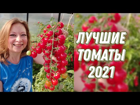 ЛУЧШИЕ СОРТА И ГИБРИДЫ ТОМАТОВ ПО ИТОГАМ 2021 ГОДА! САМЫЙ ЧЕСТНЫЙ ОБЗОР, 18+