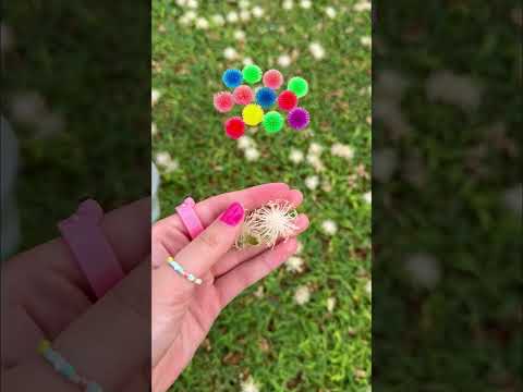 FINDING FIDGETS in FLORIDA! 😱🌴☀️👙 *weird nature fidgets*