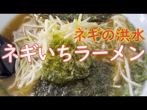 ネギいちラーメンでネギの洪水の巻 #食べ歩き #豊田 #とろろごはん