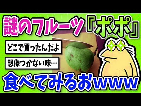 【2ch面白いスレ】謎のフルーツ『ポポ』を食べていくでｗｗｗ【グルメ料理】