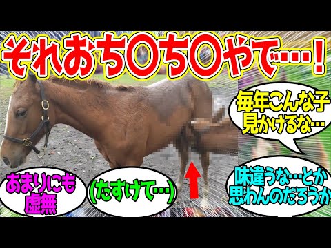 仔馬さん、間違ってとんでもない物を吸ってしまう…に対するみんなの反応！【競馬 の反応集】