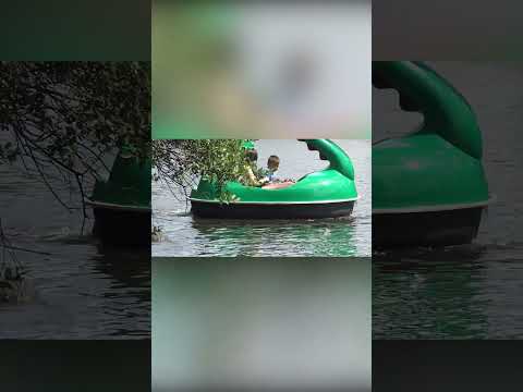 Outrageous Reactions: RC Alligator on the Water!