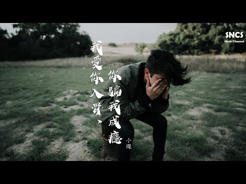 小燦 - 我愛你入骨，你騙我成癮 | 高音質動態歌詞