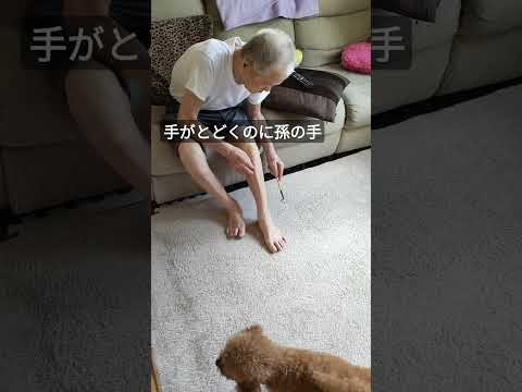 この動画にツッコミ入れてください!（笑）#老後#80代#田舎暮らし