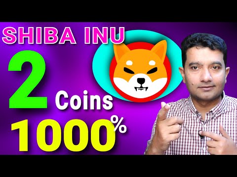 Shiba Inu Coin 1000 per cent Chance 2 Coins You Won't Miss