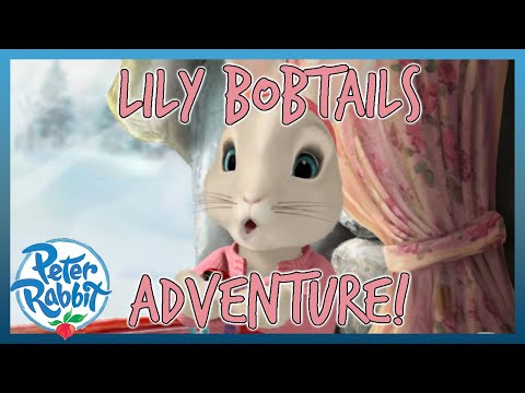 @OfficialPeterRabbit - 🌍🐰 Lily Bobtail's Adventures! 🐰🌍 | 20+ MINS | Cartoons for Kids