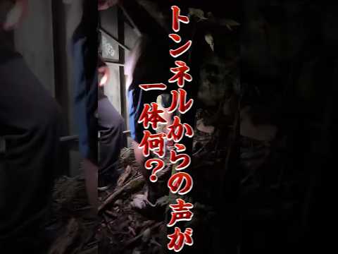 【心霊】ゾッとした叫び声　心霊スポットユーチューバー最新　心霊トンネル　#心霊ユーチューバー #心霊動画 #心霊 #心霊スポット #心霊映像 #怪奇現象 #女性心霊youtuber