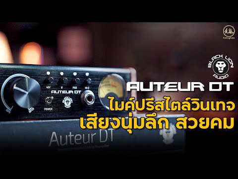 Black Lion Audio Auteur DT | ไมค์ปรีสไตล์วินเทจ เสียงนุ่มลึก สวยคม