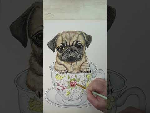 Teacup pug watercolor painting. Part 2 #watercolorpainting #pug #shorts