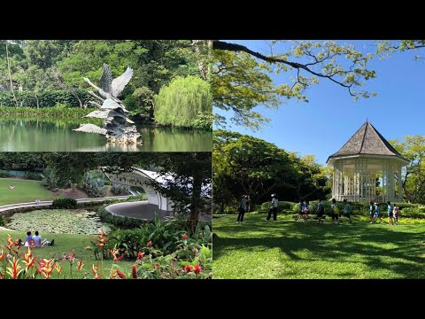 The Singapore Botanic Gardens-UNESCO World Heritage Site 2023 新加坡植物园-联合国教科文组织名录的世界文化遗产