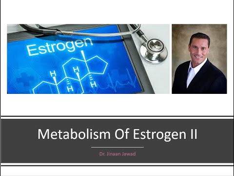 The Metabolism Of Estrogen- Part II The Good, Bad, and Ugly Types