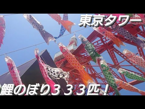 東京タワーに鯉のぼりが３３３匹泳いでました！２０２４年５月５日こどもの日 東京都港区芝公園