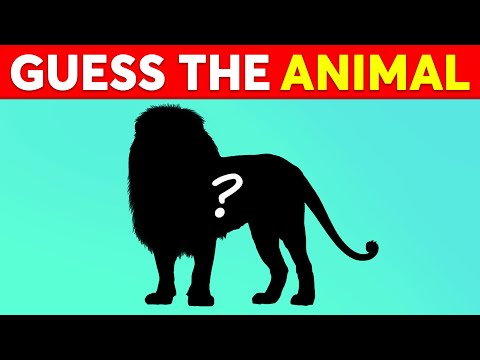 Guess The Animal by Shadow 🐈🦇🐙🦔 Animal Quiz | Monkey Quiz