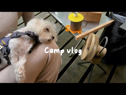 Camp Vlog｜森林系🌲起初露營區｜迎接夏天的蟬鳴