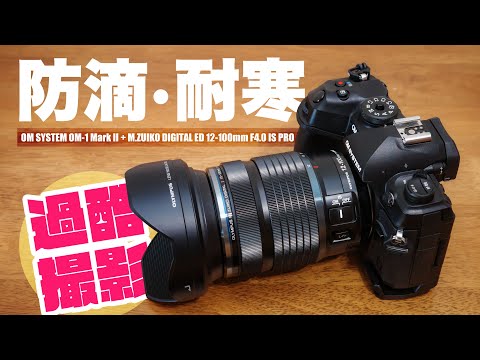 便利ズームの帝王「M.ZUIKO DIGITAL ED 12-100mm F4.0 IS PRO」と OM-1 Mark II とのド定番マッチングで過酷な雪の日を撮って出し