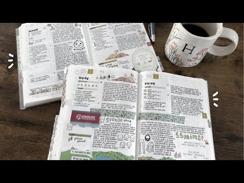 366 Days Of Journaling | Hobonichi Cousin Daily Pages