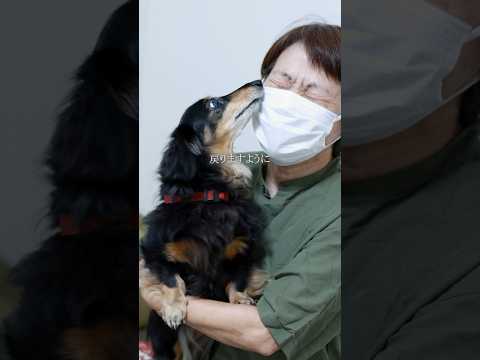 地震が引き裂いた家族が1年後... #犬  #ピースワンコ