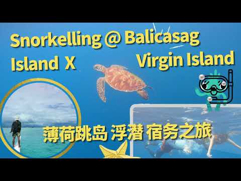 100% Sight of SEA TURTLES at Bohol Islands!! Unbelievable~ (Philippines) 薄荷岛 海龟同游 一望无际的跳岛感受!