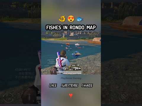 🐟 FISH in Rondo Map 😍 New Update🔥 #NewMapRondo #Fishinginpubg