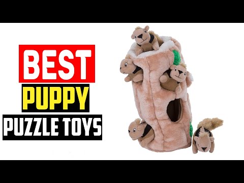 ✅Top 5 Best Puppy Puzzle Toys To Keep Them Busy in 2024