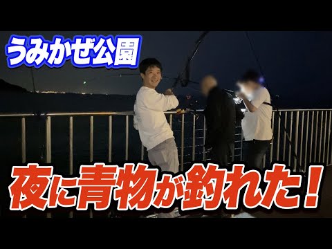 【横須賀うみかぜ公園】夜に青物？！意外な釣法/見事な釣果に感嘆…