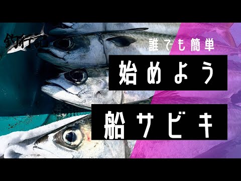 【船アジ】誰でも簡単に始められる船サビキ【と見せかけて船サバ】【中型青物ハンター】