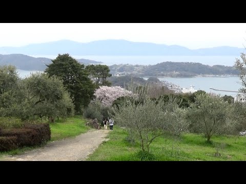 牛窓オリーブ園