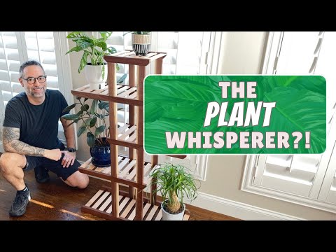 Get Your Green On! Sleek And Modern Plant Stand - Free Plans Available