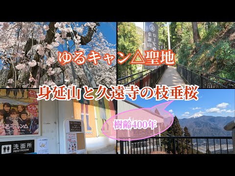 【ゆるキャン△聖地　身延山と久遠寺の枝垂桜】ゆるキャン△の聖地、身延山久遠寺の樹齢400年の枝垂桜が見頃になっていたので観に行ってきました。ロープウェイで身延山へも登ってきました【お出かけvlog】