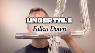 UNDERTALE - Fallen Down  |  Contrabass Flute