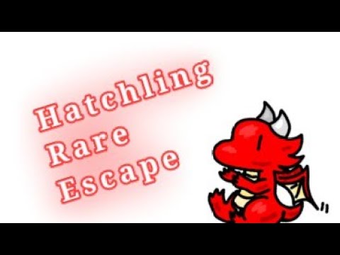 해출링 레어탈출 플레이 (Playing Hatchling Rare Escape)