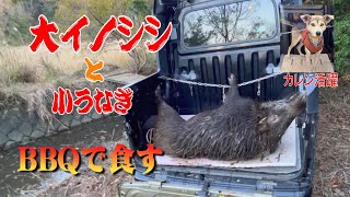 【狩猟】大きいイノシシと小さいうなぎが獲れたのでBBQで食べました。