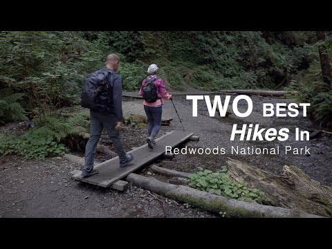 Fern Canyon and Trillium Falls | Redwoods National Park