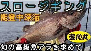 【石川県】幻の高級魚アラを狙って初めてのスロージギング編【遊心丸】