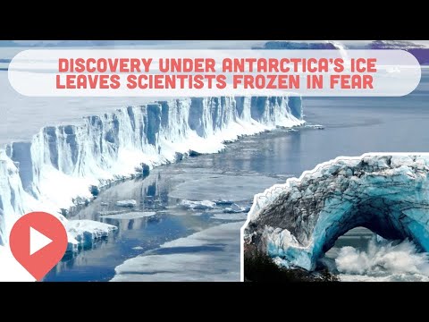 New Discovery Under Antarctica’s Ice Leaves Scientists Frozen in Fear