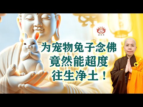 为宠物兔子念佛，竟然能超度往生净土 !（真实案例） | 净平法师 主讲