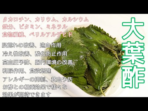 【大葉酢】暑さ吹っ飛ばす！万能薬味、常備菜！いろんな料理に使えて毎日健康に！