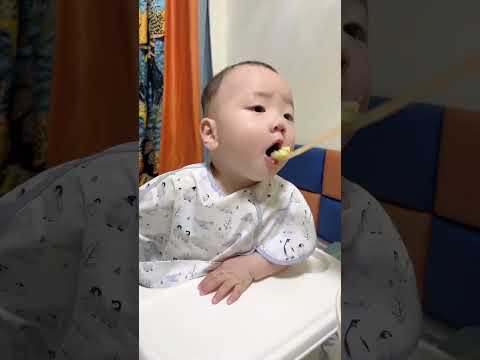 #九月龄宝宝的日常，一天两顿辅食都吃了什么 #带娃日常vlog #baby #宝宝 #萌娃