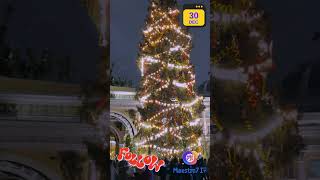 🎄 Праздничное настроение на Дворцовой площади в г. Санкт-Петербург 🌌