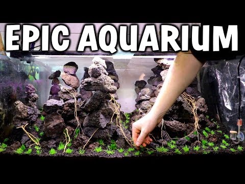 New EPIC Planted Aquarium Setup! How To / Tutorial