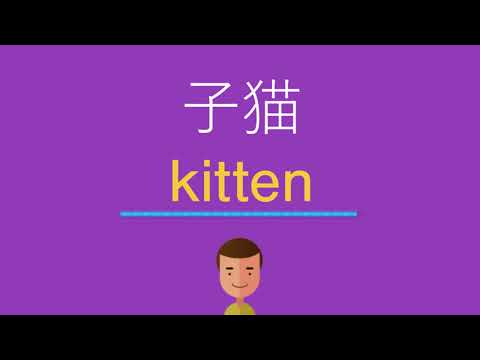 子猫は英語で何と言う？