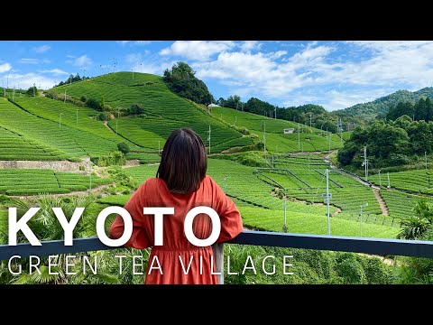 KYOTO🇯🇵 Uji green tea village "WAZUKA"🌱✨ Japan Travel Vlog