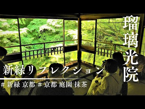 【新緑の京都】瑠璃光院の青紅葉！絶景の日本庭園と抹茶で癒やしの一人旅