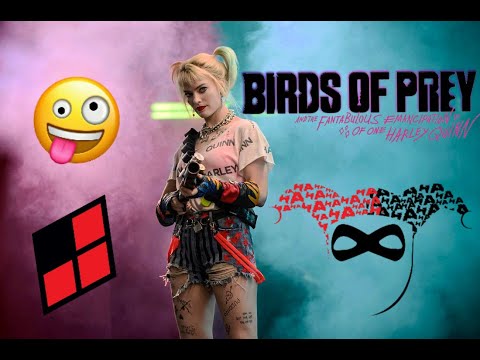 Birds Of Prey: I'm A Survivor