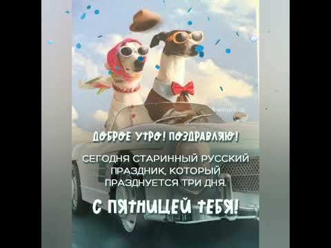 🐰 Пятничный приветик! Выходные приближаются, настроение улучшается!