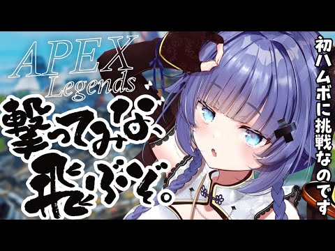 【 雑談┊︎APEX 】おいら、ハムボマスター断念。高画質配信【VTuber】【稍麦】