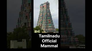 Tamilnadu Official Mammal.#malayalam #shorts #facts #education #animals #tamilnadu #malayalamnews