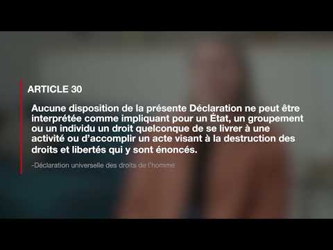 Article 30 de la Déclaration universelle des droits de l'homme, expliqué par une avocate