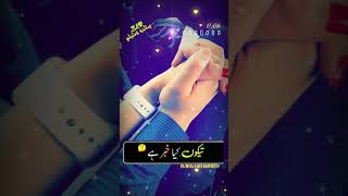 Toon Be Fikar Hen Saraiki Song Status | Sariki whatsap Status | Tiktok Famous status | Bkrpoetey