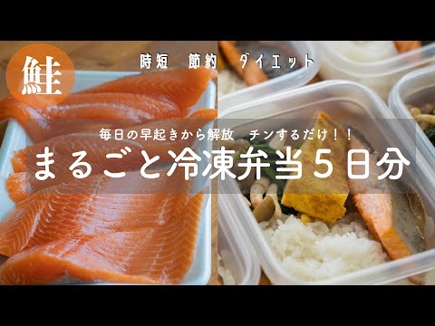 【５日分作り置き】チンするだけ！鮭を使った時短節約まるごと冷凍弁当の作り方